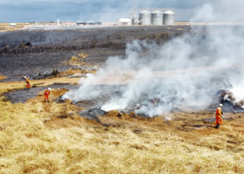 Incêndio de grandes proporções atinge fazenda no oeste da BA; área do tamanho de 15 campos de futebol foi destruída pelo fogo