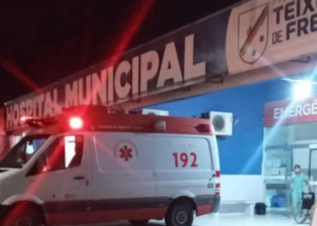 Criança de 2 anos morre após sofrer ataque de pitbull no Extremo Sul baiano