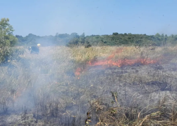 Incêndio atinge área de mata atlântica em Parque Nacional Monte Pascoal