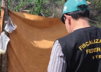 Pai de prefeito de município da Bahia é investigado por trabalho escravo