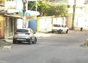 Ataque a tiros deixa um morto e três feridos no subúrbio de Salvador; criança é uma das vítimas