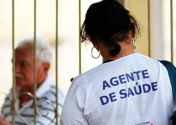Agentes comunitários de saúde podem ser reconhecidos como técnicos