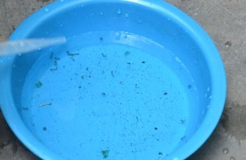 Feira de Santana notificou 2.845 casos de dengue em 2023