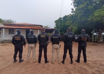 Fazenda de maconha: Operação contra família milionária tem seis presos e um baleado em Feira de Santana