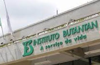 Butantan deve pedir registro de nova vacina contra a dengue até julho