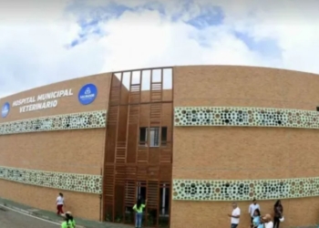 Hospital Veterinário de Salvador obteve mais de mil atendimentos em 15 dias