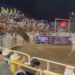 Touro pula cerca de arena e fere quatro pessoas nos EUA