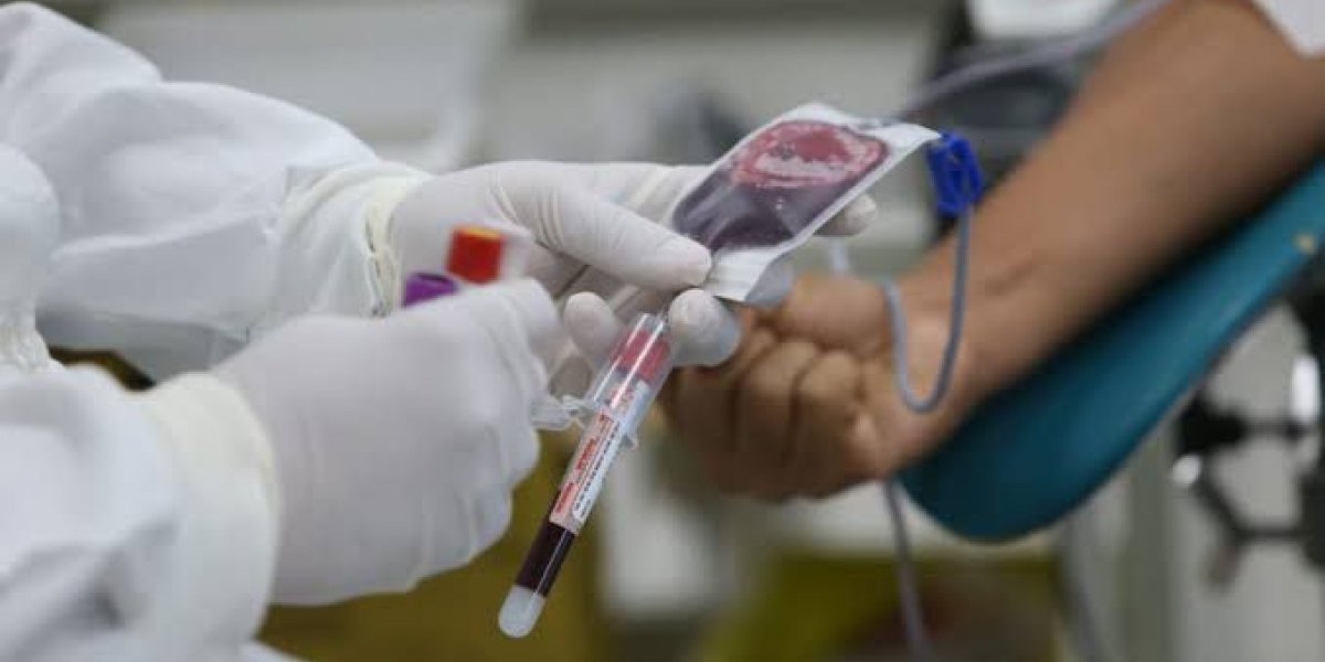 25 de novembro: Dia Nacional do Doador de sangue