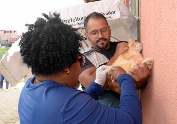 Prefeitura de Salvador intensifica vacinação antirrábica neste fim de semana